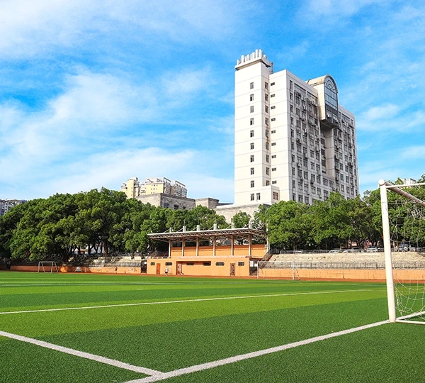 Средняя школа